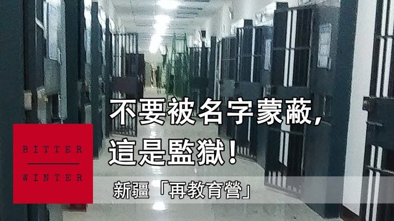 中共因对维吾尔人实施种族灭绝被告上国际刑事法院