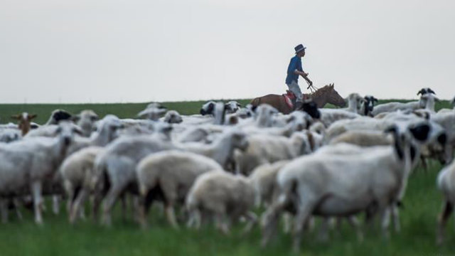 牧民在草原上骑马放羊